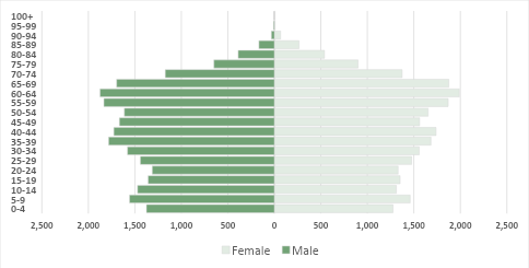 Strumica Population Related Information